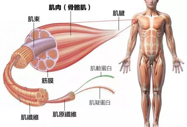 微信图片_20200831095134.jpg
