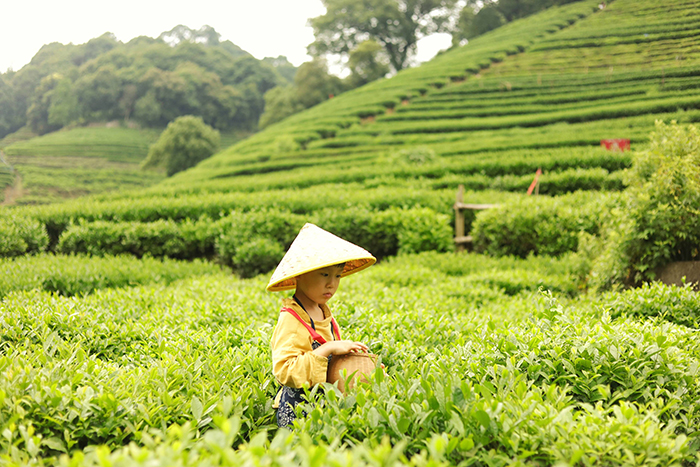 如何策划文旅项目：步步为营创造独特体验