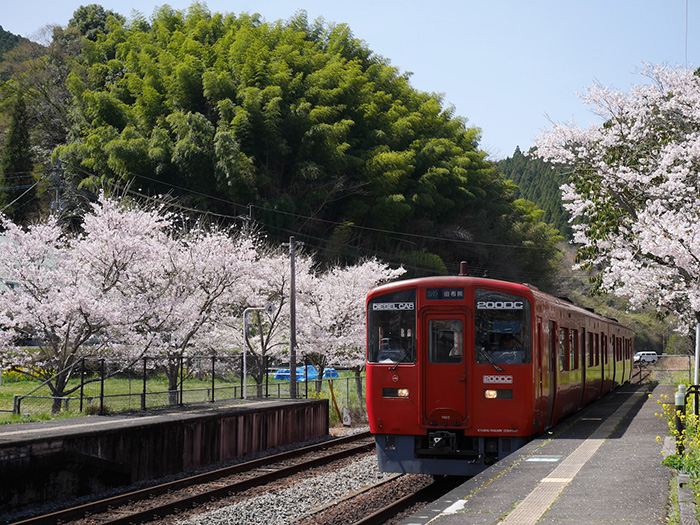 文旅项目策划和设计哪个好?