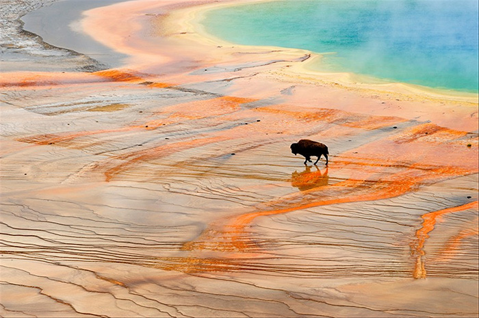 文旅项目策划运营方向