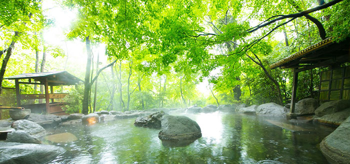 绿色与美丽同行：温泉酒店设计的环保策略