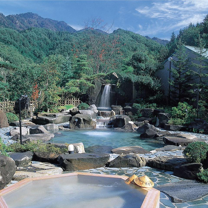哪些植物能在旅游小镇中提升微气候的舒适度